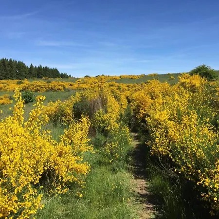 Timber-frame Retreat * Schleiden