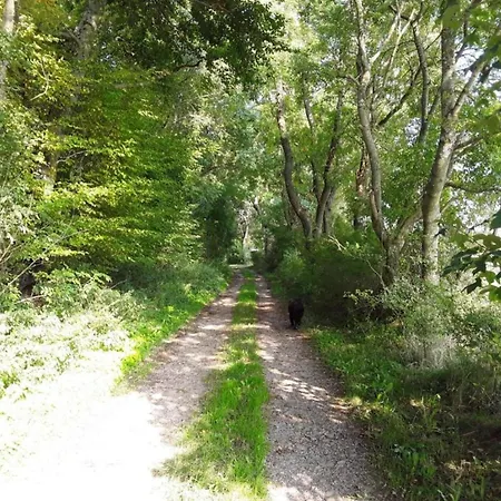 Timber-frame Retreat Schleiden