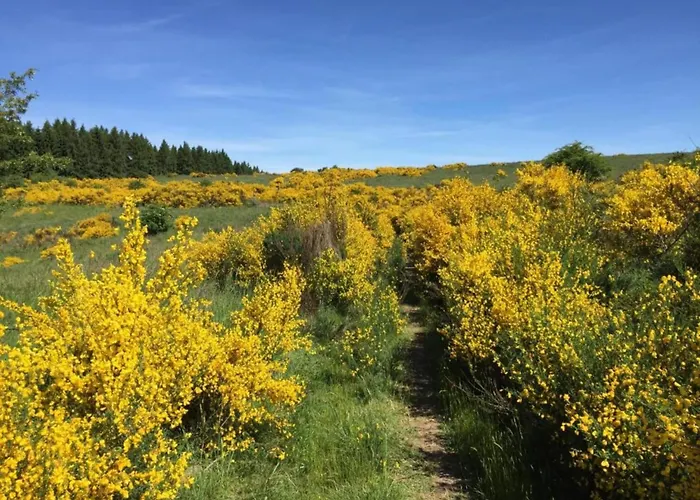 Timber-frame Retreat * Шляйден