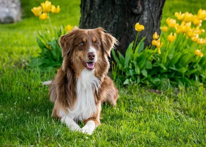 Timber-frame Retreat Апартаменты *