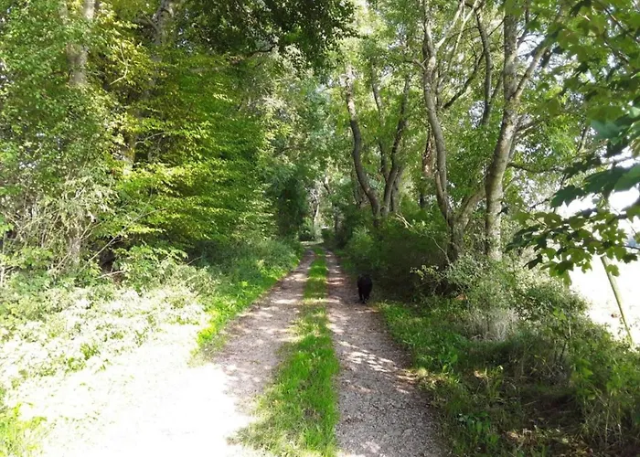 Timber-frame Retreat Шляйден